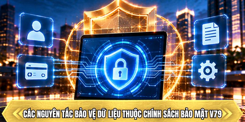 Các nguyên tắc bảo vệ dữ liệu thuộc chính sách bảo mật V79